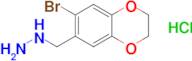 [(7-bromo-2,3-dihydro-1,4-benzodioxin-6-yl)methyl]hydrazine hydrochloride