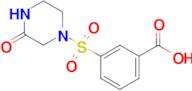 3-[(3-oxopiperazin-1-yl)sulfonyl]benzoic acid