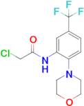 2-Chloro-n-[2-(morpholin-4-yl)-5-(trifluoromethyl)phenyl]acetamide