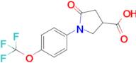 5-Oxo-1-[4-(trifluoromethoxy)phenyl]pyrrolidine-3-carboxylic acid