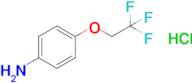 4-(2,2,2-Trifluoroethoxy)aniline hydrochloride