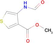 Methyl 4-formamidothiophene-3-carboxylate