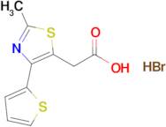 2-[2-methyl-4-(thiophen-2-yl)-1,3-thiazol-5-yl]acetic acid hydrobromide