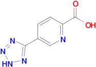 5-(2H-1,2,3,4-tetrazol-5-yl)pyridine-2-carboxylic acid