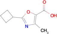 2-Cyclobutyl-4-methyl-1,3-oxazole-5-carboxylic acid