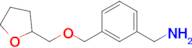 (3-{[(oxolan-2-yl)methoxy]methyl}phenyl)methanamine