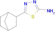 5-{bicyclo[2.2.1]heptan-2-yl}-1,3,4-thiadiazol-2-amine