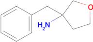 3-Benzyloxolan-3-amine