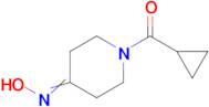 n-(1-Cyclopropanecarbonylpiperidin-4-ylidene)hydroxylamine