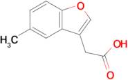 2-(5-Methyl-1-benzofuran-3-yl)acetic acid