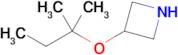 3-[(2-methylbutan-2-yl)oxy]azetidine