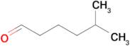 5-Methylhexanal