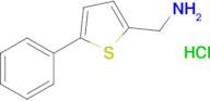 (5-Phenylthiophen-2-yl)methanamine hydrochloride