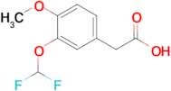 2-[3-(difluoromethoxy)-4-methoxyphenyl]acetic acid