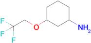 3-(2,2,2-Trifluoroethoxy)cyclohexan-1-amine