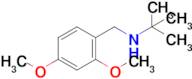 Tert-butyl[(2,4-dimethoxyphenyl)methyl]amine