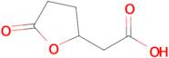 2-(5-Oxooxolan-2-yl)acetic acid