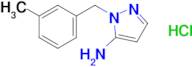 1-[(3-methylphenyl)methyl]-1h-pyrazol-5-amine hydrochloride