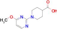 1-(4-Methoxypyrimidin-2-yl)piperidine-4-carboxylic acid