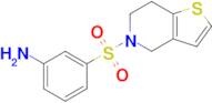 3-{4h,5h,6h,7h-thieno[3,2-c]pyridine-5-sulfonyl}aniline