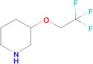 3-(2,2,2-Trifluoroethoxy)piperidine