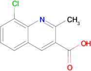 8-Chloro-2-methylquinoline-3-carboxylic acid