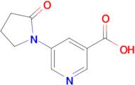 5-(2-Oxopyrrolidin-1-yl)pyridine-3-carboxylic acid