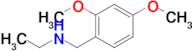 [(2,4-dimethoxyphenyl)methyl](ethyl)amine