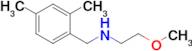 [(2,4-dimethylphenyl)methyl](2-methoxyethyl)amine