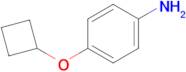 4-Cyclobutoxyaniline