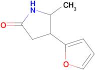 4-(Furan-2-yl)-5-methylpyrrolidin-2-one