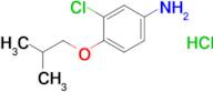 3-Chloro-4-(2-methylpropoxy)aniline hydrochloride