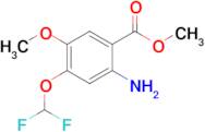 Methyl 2-amino-4-(difluoromethoxy)-5-methoxybenzoate