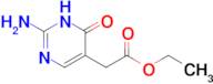 Ethyl 2-(2-amino-6-oxo-1,6-dihydropyrimidin-5-yl)acetate