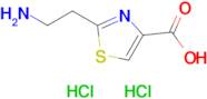 2-(2-Aminoethyl)-1,3-thiazole-4-carboxylic acid dihydrochloride