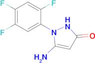 5-amino-1-(2,4,5-trifluorophenyl)-2,3-dihydro-1H-pyrazol-3-one