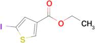 Ethyl 5-iodothiophene-3-carboxylate