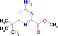 Methyl 4-amino-6-tert-butylpyrimidine-2-carboxylate