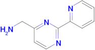 (2-(Pyridin-2-yl)pyrimidin-4-yl)methanamine