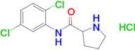 n-(2,5-Dichlorophenyl)pyrrolidine-2-carboxamide hydrochloride