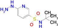 n-Tert-butyl-6-hydrazinylpyridine-3-sulfonamide