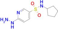 n-Cyclopentyl-6-hydrazinylpyridine-3-sulfonamide