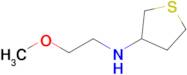 n-(2-Methoxyethyl)thiolan-3-amine