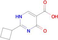 2-cyclobutyl-4-oxo-1,4-dihydropyrimidine-5-carboxylic acid