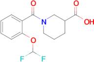 1-[2-(difluoromethoxy)benzoyl]piperidine-3-carboxylic acid