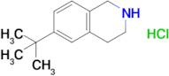 6-Tert-butyl-1,2,3,4-tetrahydroisoquinoline hydrochloride