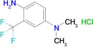 n1,n1-Dimethyl-3-(trifluoromethyl)benzene-1,4-diamine hydrochloride