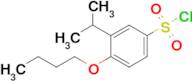 4-Butoxy-3-(propan-2-yl)benzene-1-sulfonyl chloride