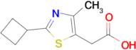 2-(2-Cyclobutyl-4-methylthiazol-5-yl)acetic acid