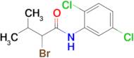 2-Bromo-n-(2,5-dichlorophenyl)-3-methylbutanamide